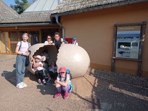 1727329917043 1727329917043