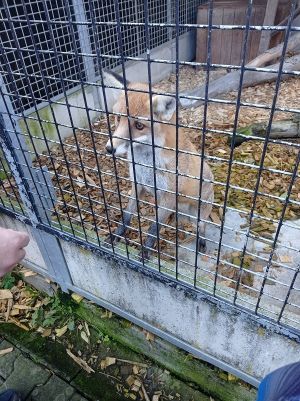 1729081964706 1729081964706