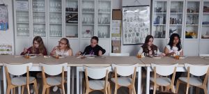 1749134074147 1749134074147